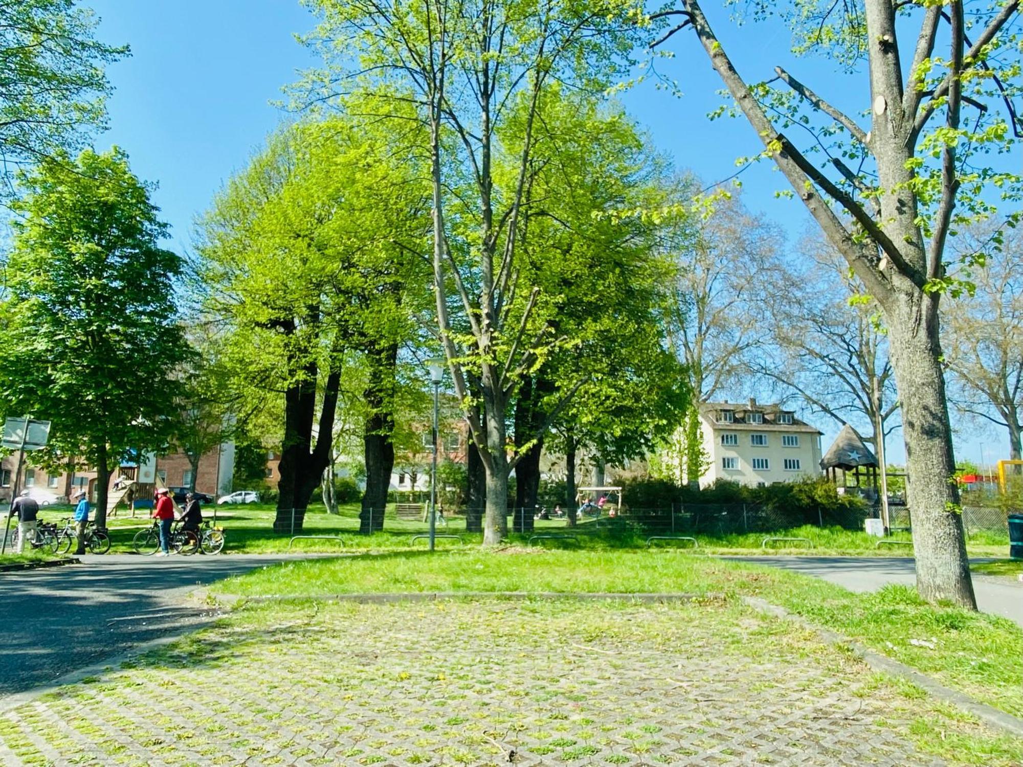 Kassel: Alles, Was Du Brauchst! Eksteriør bilde